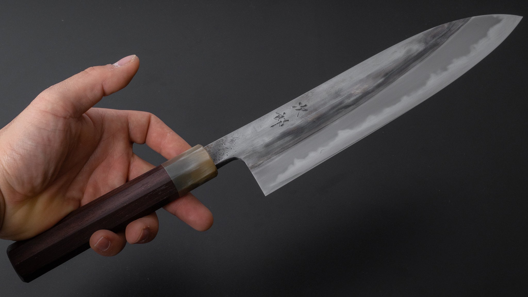 Premium Jiro Tsuchime Wa Gyuto 240mm Japanese Chef Knife with Taihei Tagayasan Handle - Perfect for Sushi, Meat Cutting & Professional Kitchen Use