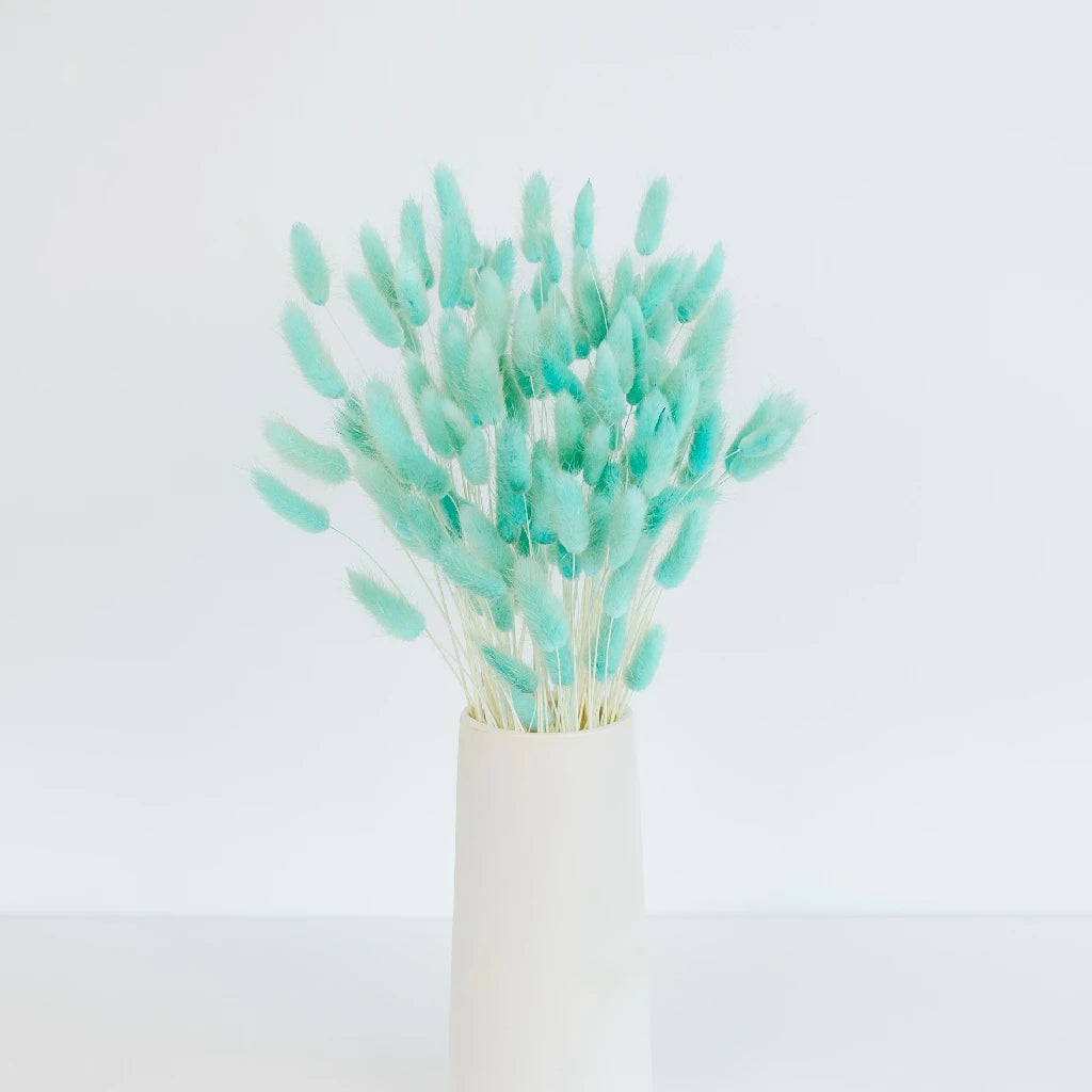 Premium Baby Blue Dried Bunny Tail Grass - Natural Decorative Floral Stems for Boho Wedding Centerpieces, Home Decor & DIY Crafts