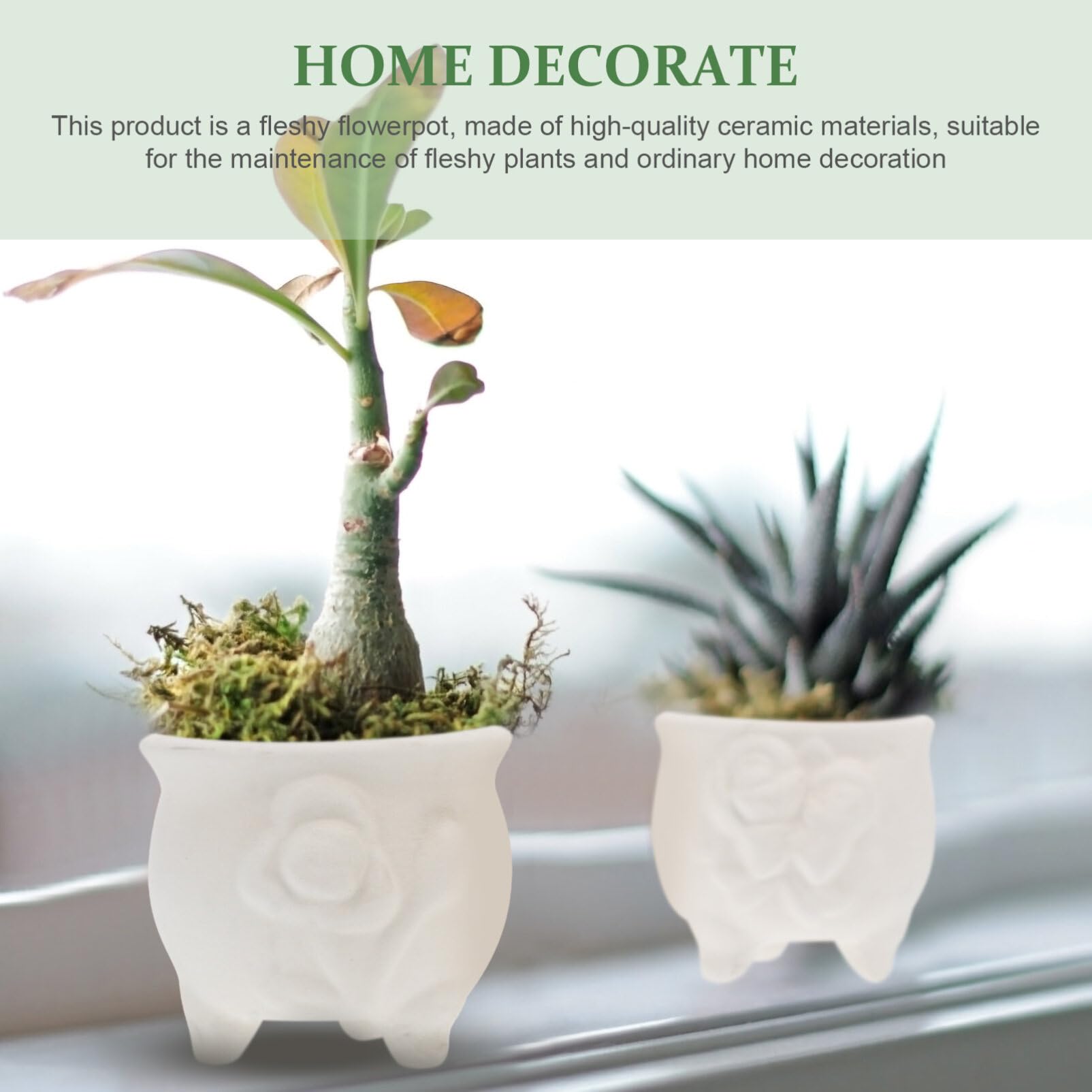 VICASKY 2-Pack Unpainted Ceramic Animal Succulent Planters - DIY Paintable Flower Pots for Cactus, Small Plants - White Craft Kit for Home Garden Decor, Kids Art Projects & Gift Making