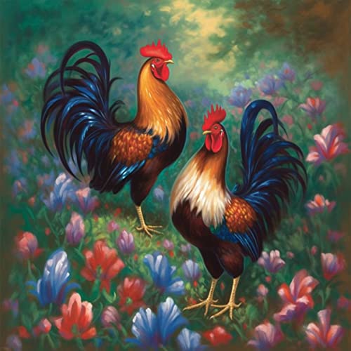 Rooster-11