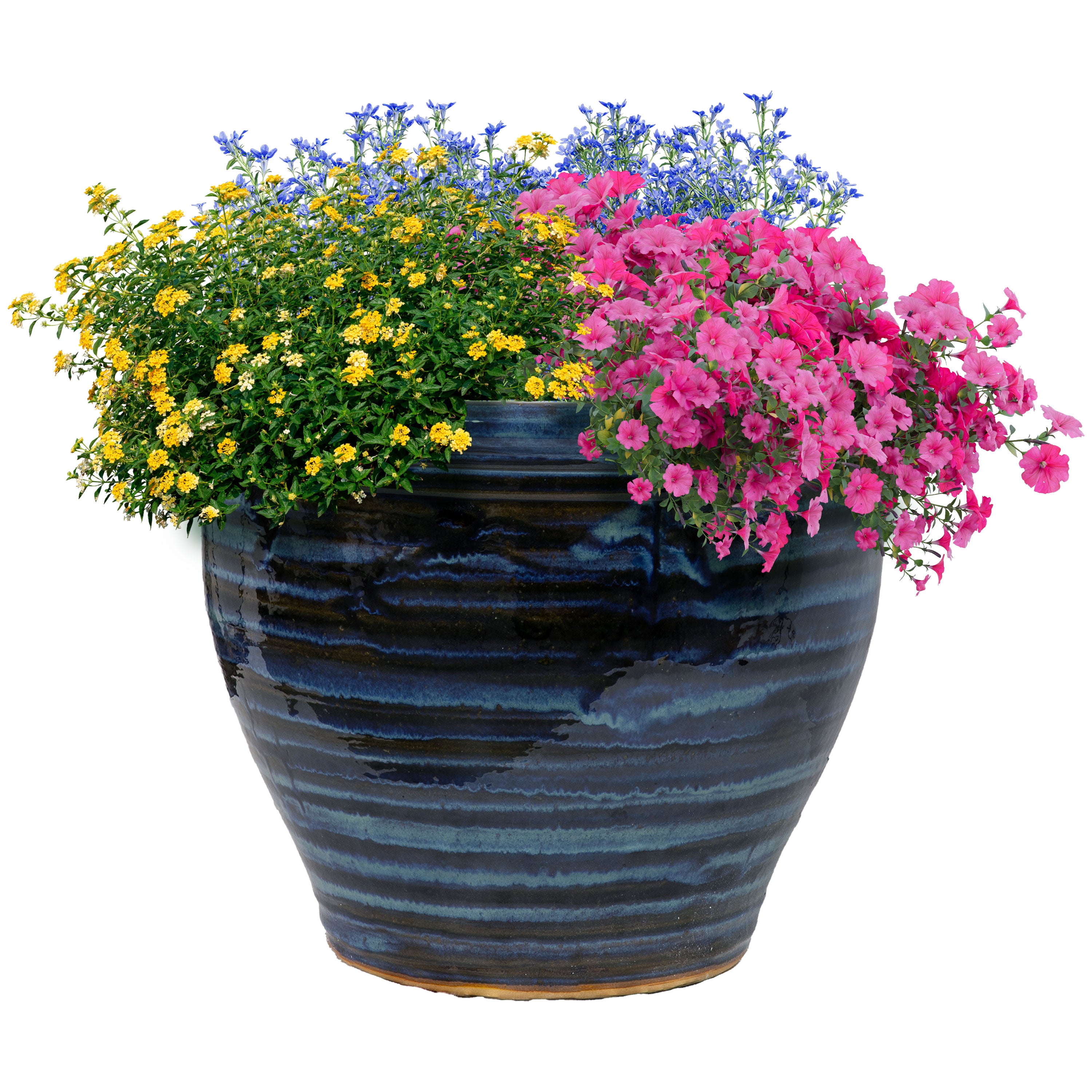 Sunnydaze Studio Round Glazed Ceramic Planter with Drainage Hole - Indoor Outdoor Flower Pot for Plants, Succulents, Herbs - Perfect for Patio, Garden, Balcony Decor