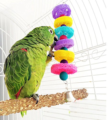 Loofah Shred Toy