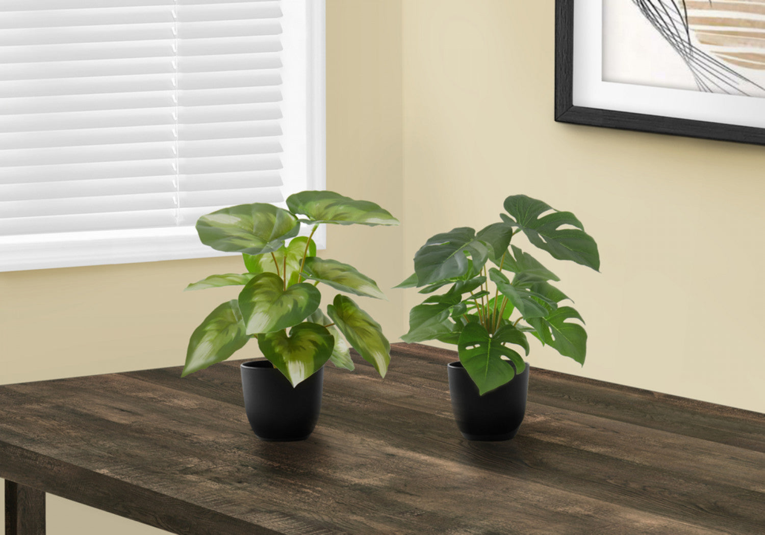 13 Monstera and Calathea Plants Set with 4 Black Pots - Indoor Houseplants for Home & Office Decor - Perfect for Living Room, Bedroom, or Workspace Greenery