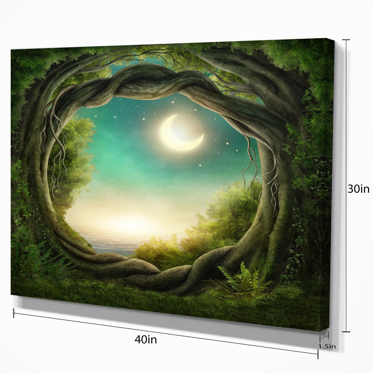 Enchanted Dark Forest Landscape Photography Canvas Print - Nature Wall Art for Home & Office Decor