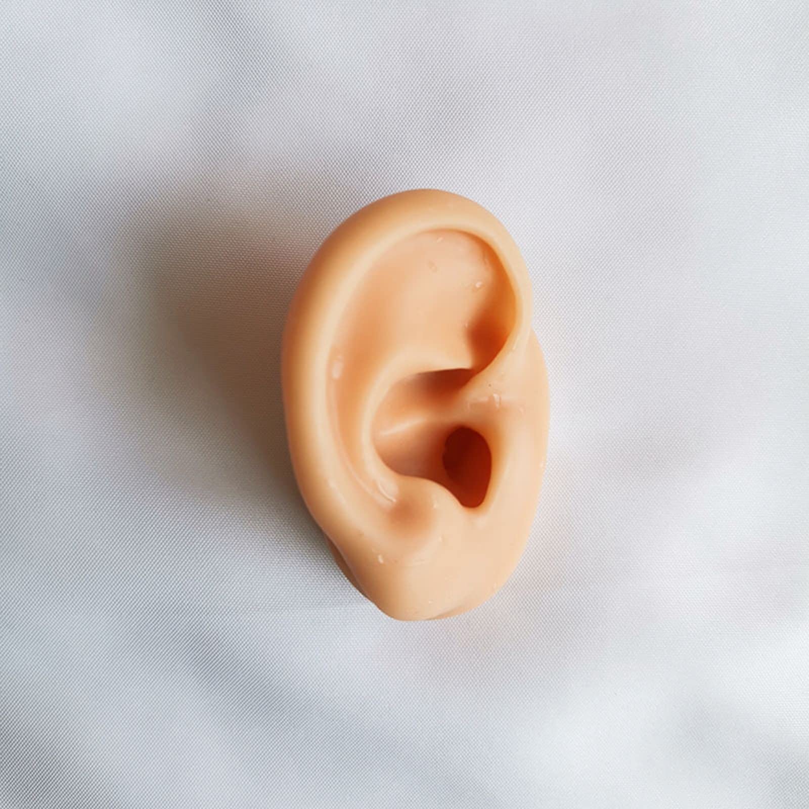 Realistic Human Ear Model - 1 Pair of Highly Detailed Silicone Ear Models for Acupuncture Training, Earring Display, Headset Fitting & Medical Education - Perfect for Acupuncturists, Jewelry Stores & Audiologists