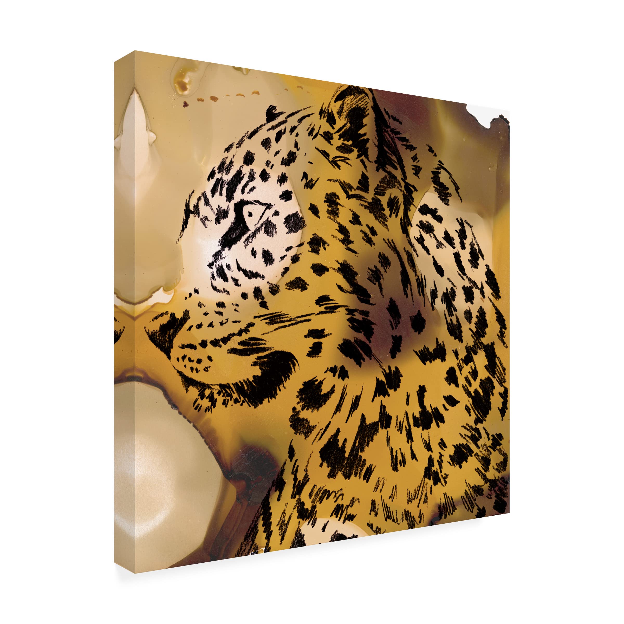 Trademark Fine Art 'Leopard Portrait I' Canvas Wall Art by Jennifer Paxton Parker - Wildlife Home Decor for Living Room, Bedroom & Office