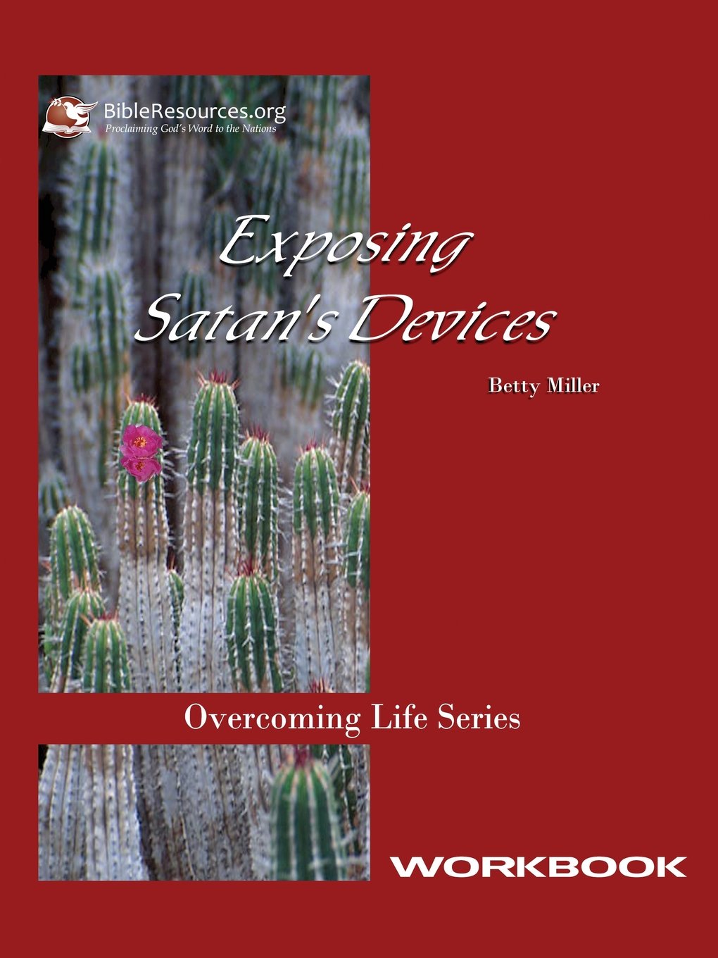 Exposing Satan's Devices Workbook - Bible Study & Spiritual Warfare Guide