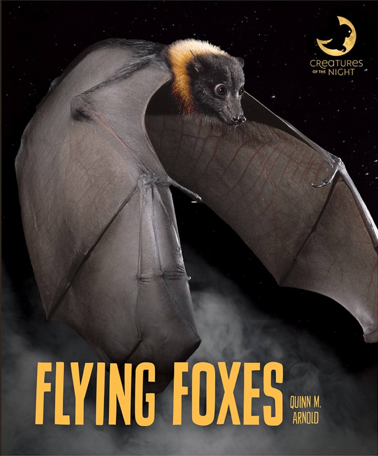 Flying Foxes Book - ISBN 9781640261181 - Perfect for Wildlife Enthusiasts & Nature Lovers