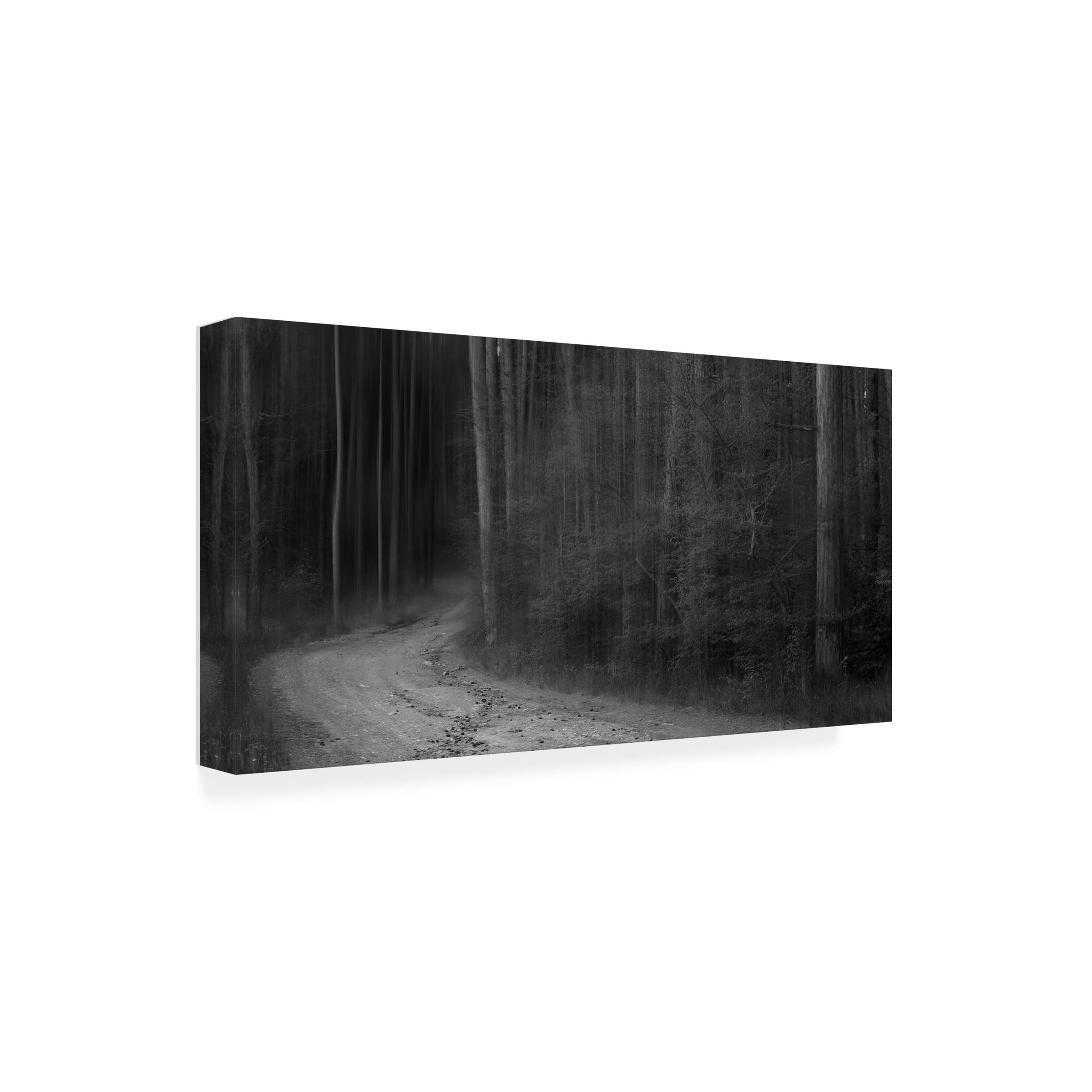 Trademark Fine Art 'Road to Mystery' Canvas Wall Art by Anselmo J. Rubio - Modern Abstract Painting for Living Room, Bedroom & Office Decor