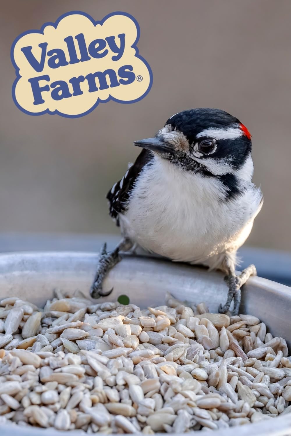 Valley Farms Whole Sunflower Hearts for Wild Birds - 15 LB Bag | No Mess, Waste-Free Wild Bird Seed | Perfect for Outdoor Bird Feeders, Backyard Birdwatching & Wildlife Attraction