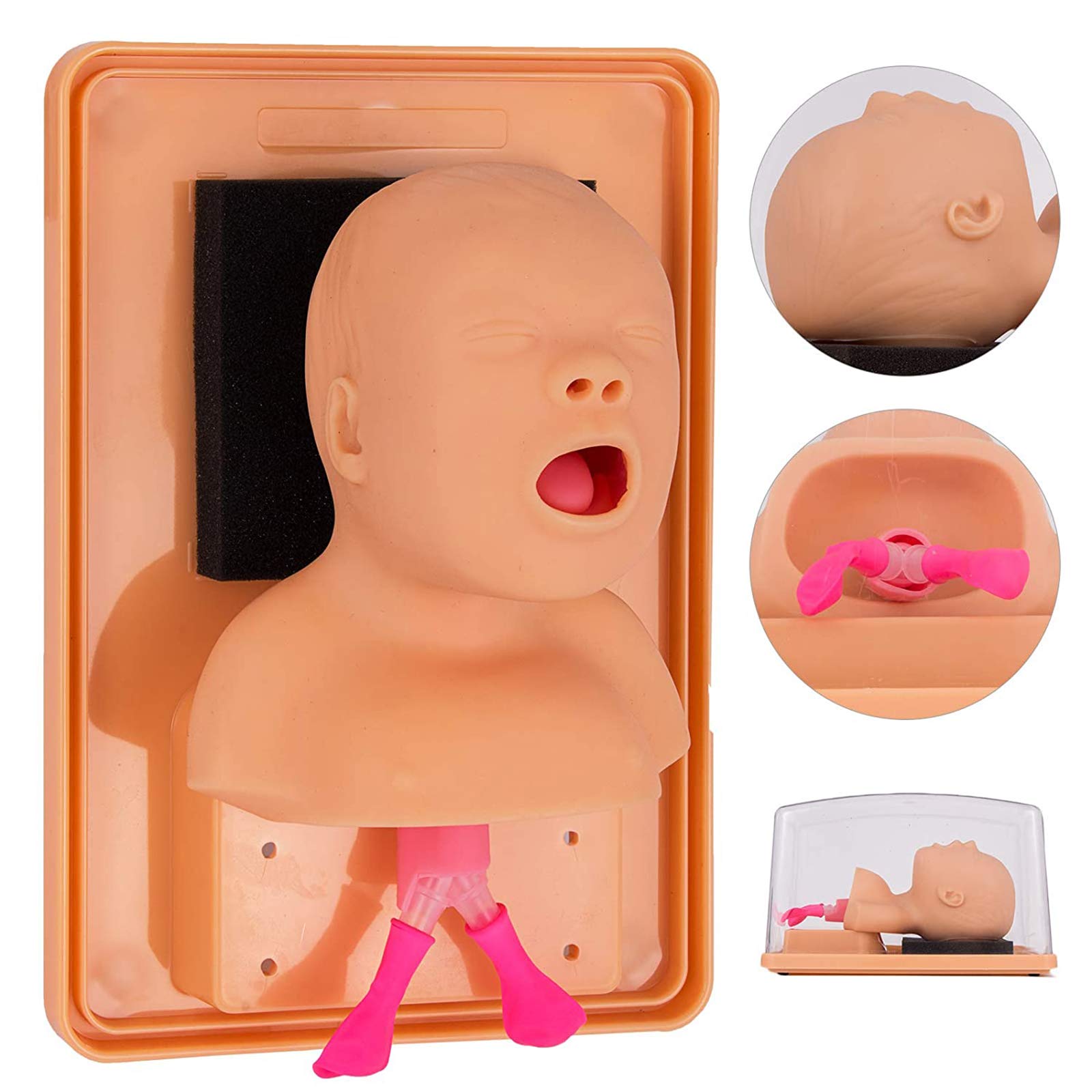 Baby Intubation Manikin - PVC Airway Management Training Model for Infant CPR & Tracheal Intubation Practice - Medical Teaching Simulator for Nursing Students & EMT Training - Perfect for Clinical Labs, Emergency Response Drills & Pediatric Medical Education