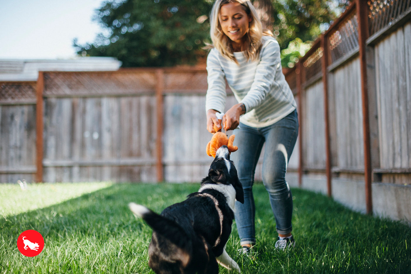 El Pavo Entero Holiday Classic™ Dog Plush Toy - Soft & Durable Chew Toy for Small & Large Dogs | Perfect for Thanksgiving, Christmas & Playtime Fun | Pet P.L.A.Y.