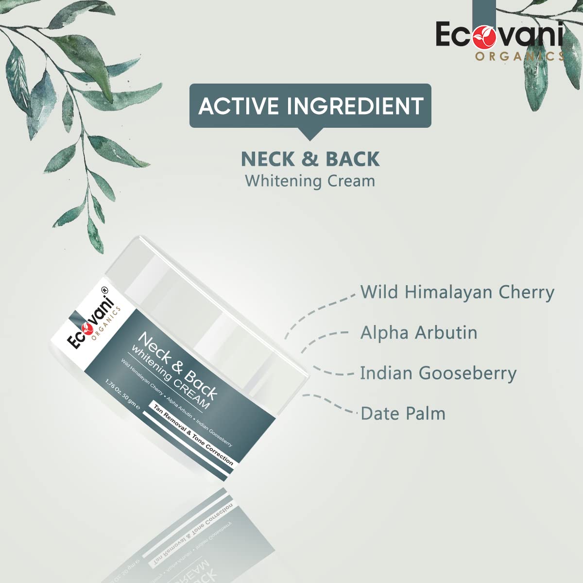 ECOVANI Neck & Back Whitening Cream for Dark Spots - Organic Skin Brightening & Tone Correcting Formula with Tan Removal - 50g (Pack of 1) - Perfect for Uneven Skin Tone on Neck, Back & Body Areas