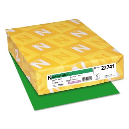 Astrobrights Gamma Green 65lb Cardstock Paper - 8.5 x 11 Inches, 250 Sheets per Pack (2 Packs) for Scrapbooking, DIY Crafts & Office Projects