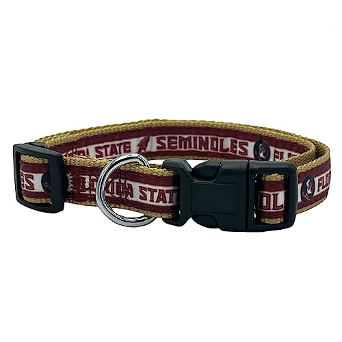Florida State Seminoles