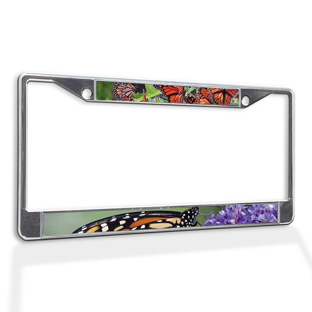 Stunning Monarch Butterfly Feeding on Flowers Metal License Plate Frame - Weatherproof Chrome Car Accessory with 2 Solid Holes | Perfect for Summer Car Decor & Gift Ideas