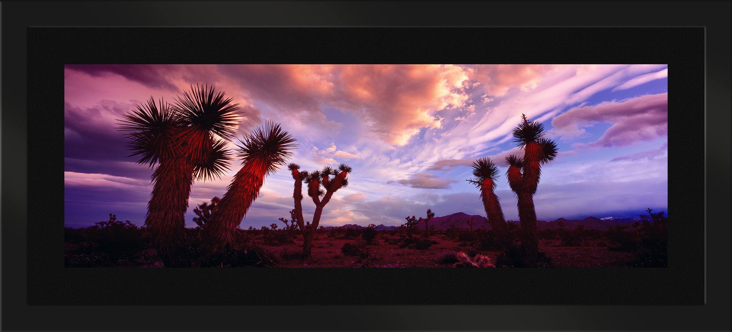Painted Desert Wall Art - Stunning Southwestern Landscape Canvas Print for Home & Office Decor | Perfect for Living Room, Bedroom, or Office Wall Decor