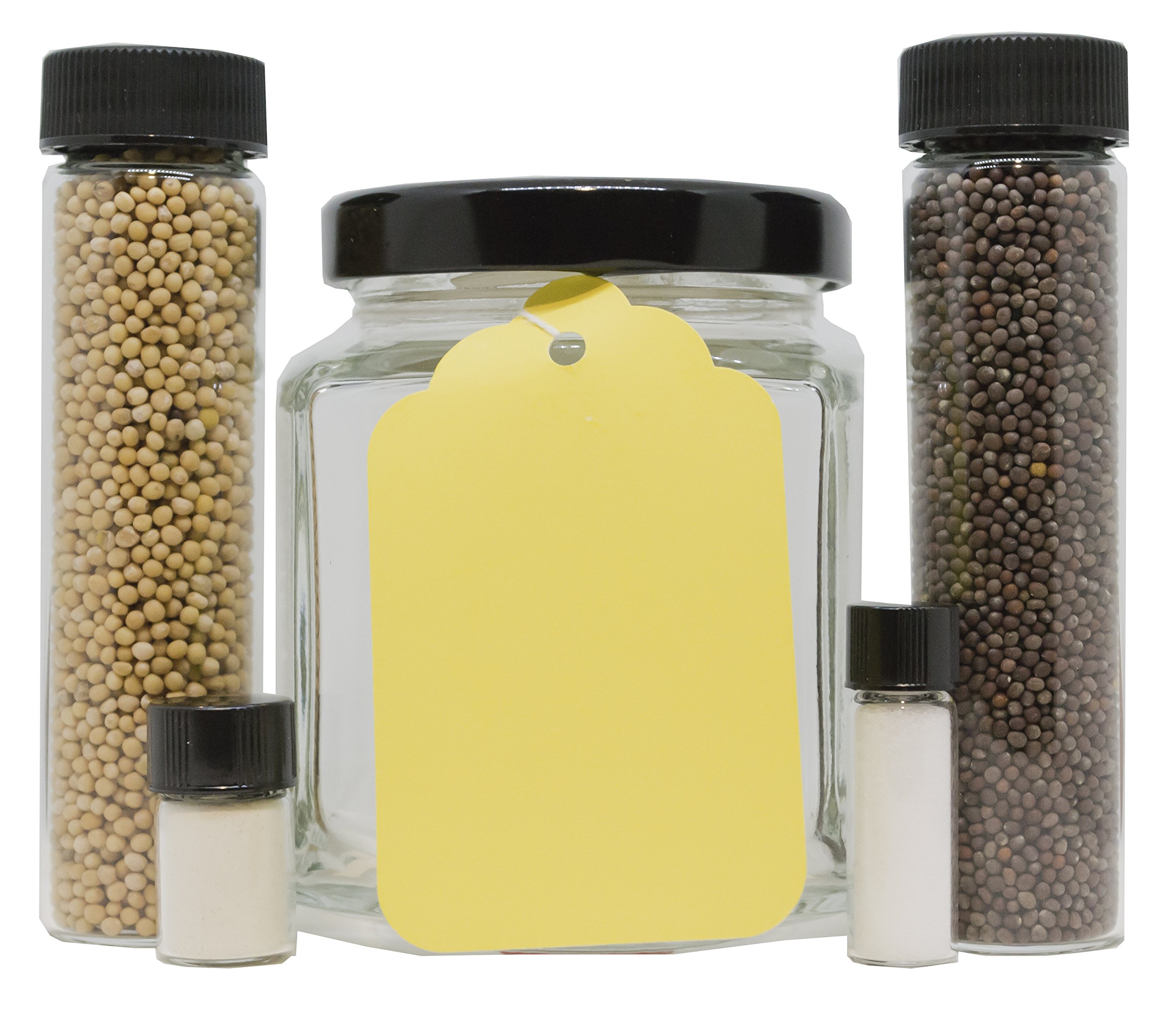 DIY Beer Mustard Making Kit by Crimson and Clove - Homemade Spicy Mustard Craft Set for Cooking, Sandwiches & BBQ - Perfect for Home Brewers & Food Lovers