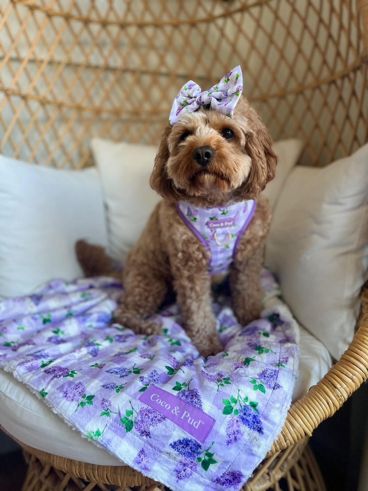 Luxury Gingham Lilac Throw Blanket - Soft & Cozy Plaid Blanket for Bed, Couch, Sofa - Perfect for Home Decor, Gifts, and Relaxation - Coco & Pud