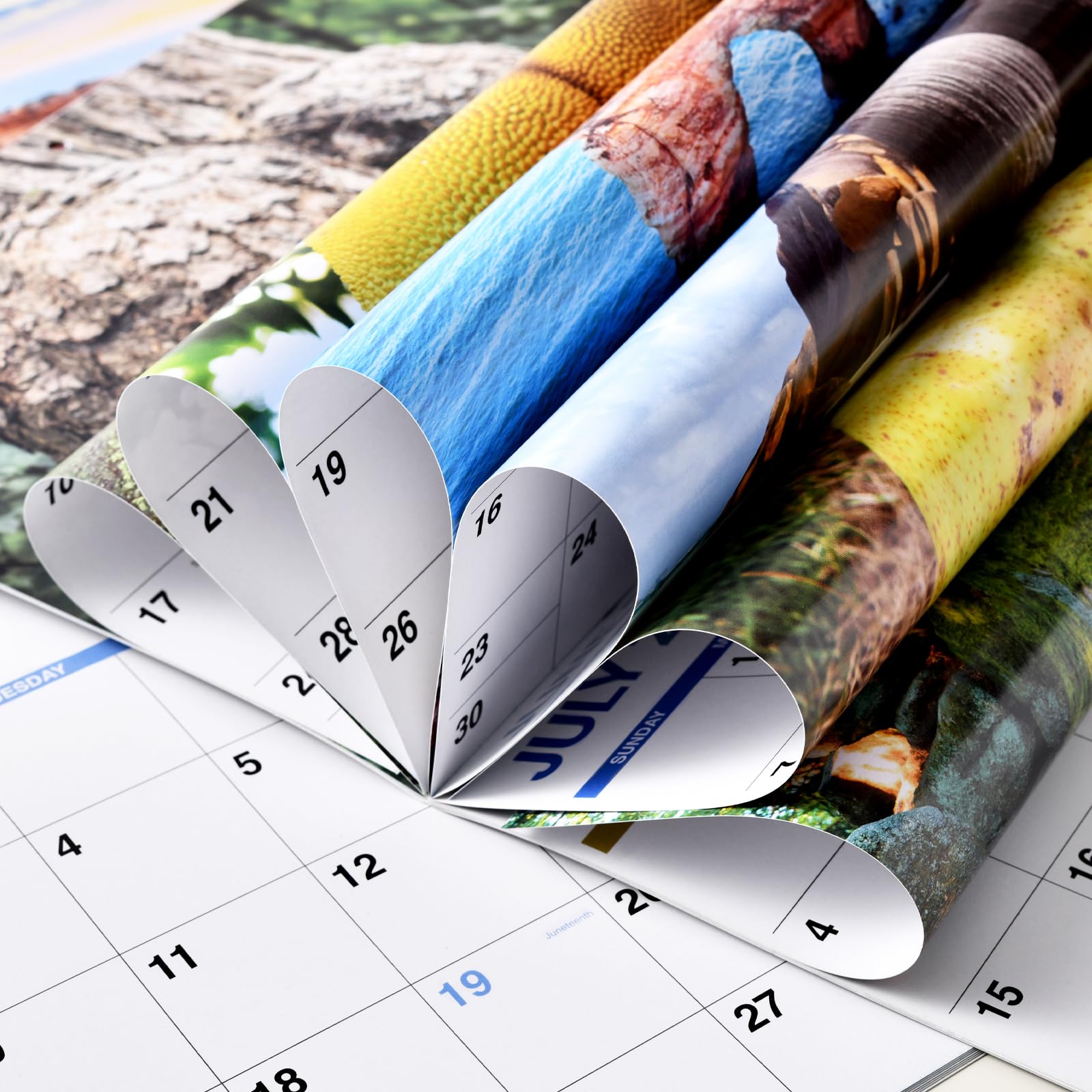 Funny 2025 Wall Calendar - White Elephants Nature's Butts | Thick Paper 8.5