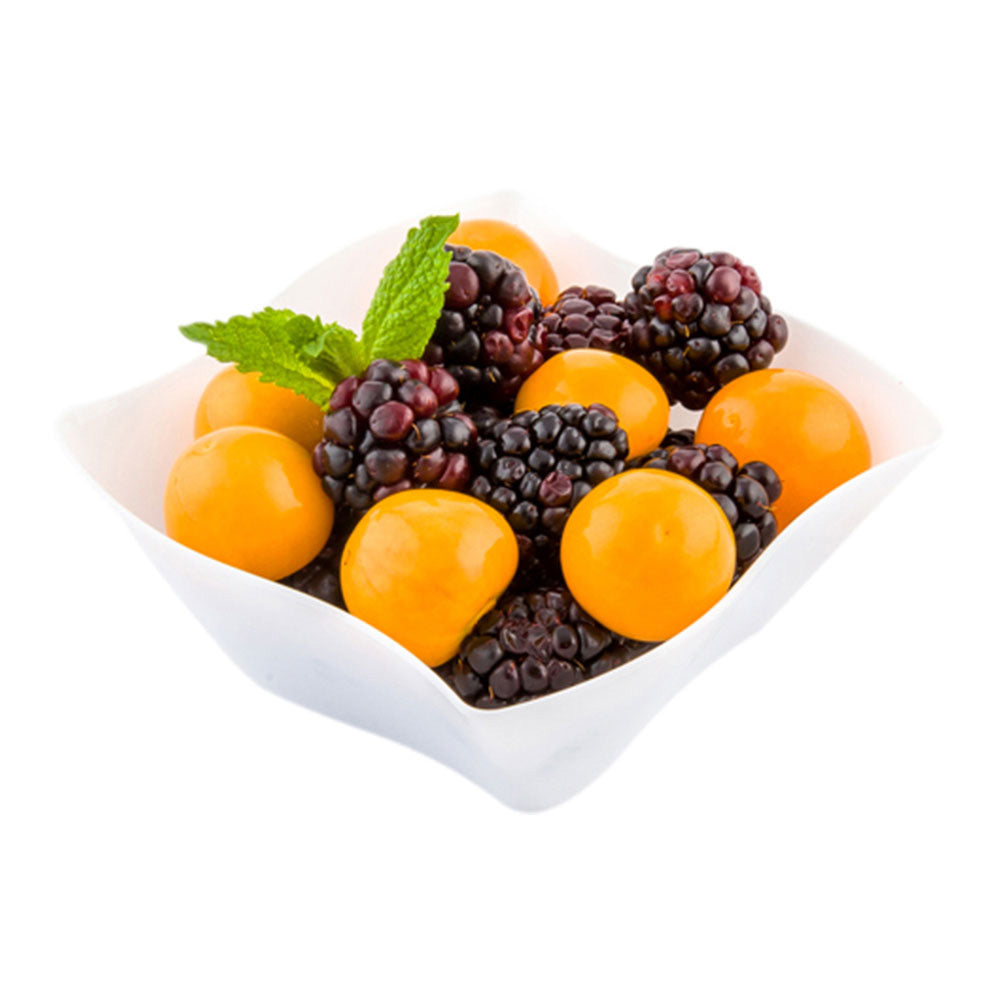 6 oz Square White Plastic Aqua Bowl - 3.25