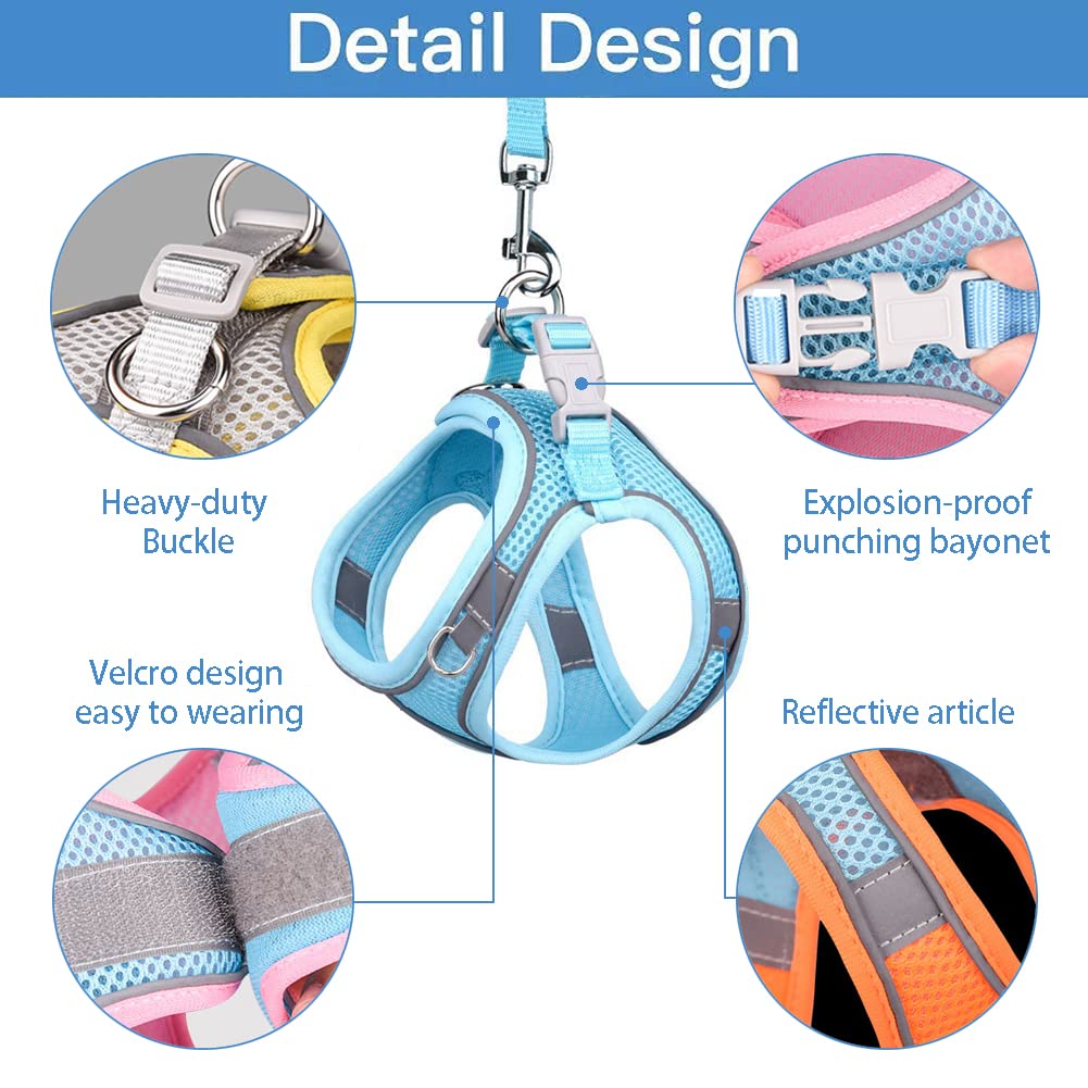 No-Pull Adjustable Mesh Cat & Small-Medium Dog Harness with Leash - Step-in Vest for Puppies & Small Breeds - Comfortable Walking Pet Harness Set for Daily Walks, Hiking & Outdoor Adventures