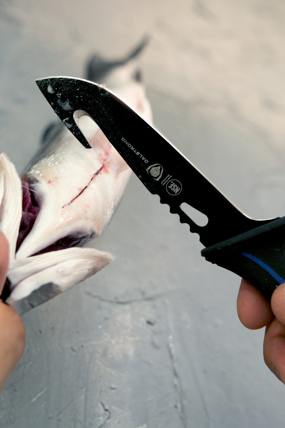 Dalstrong Hook Knife 5 - Night Shark Series | NSF Certified Kitchen Knife for Professional Chefs & Home Cooking | Perfect for Slicing, Dicing & Food Prep