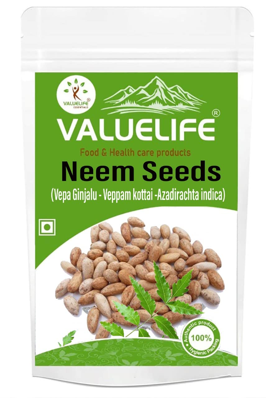 Organic Neem Seeds Dried (100g) - Azadirachta Indica for Gardening, Pest Control & Natural Remedies - Perfect for Organic Farming, DIY Pesticides & Ayurvedic Treatments