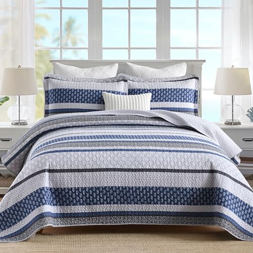 01-1 Blue/Gray