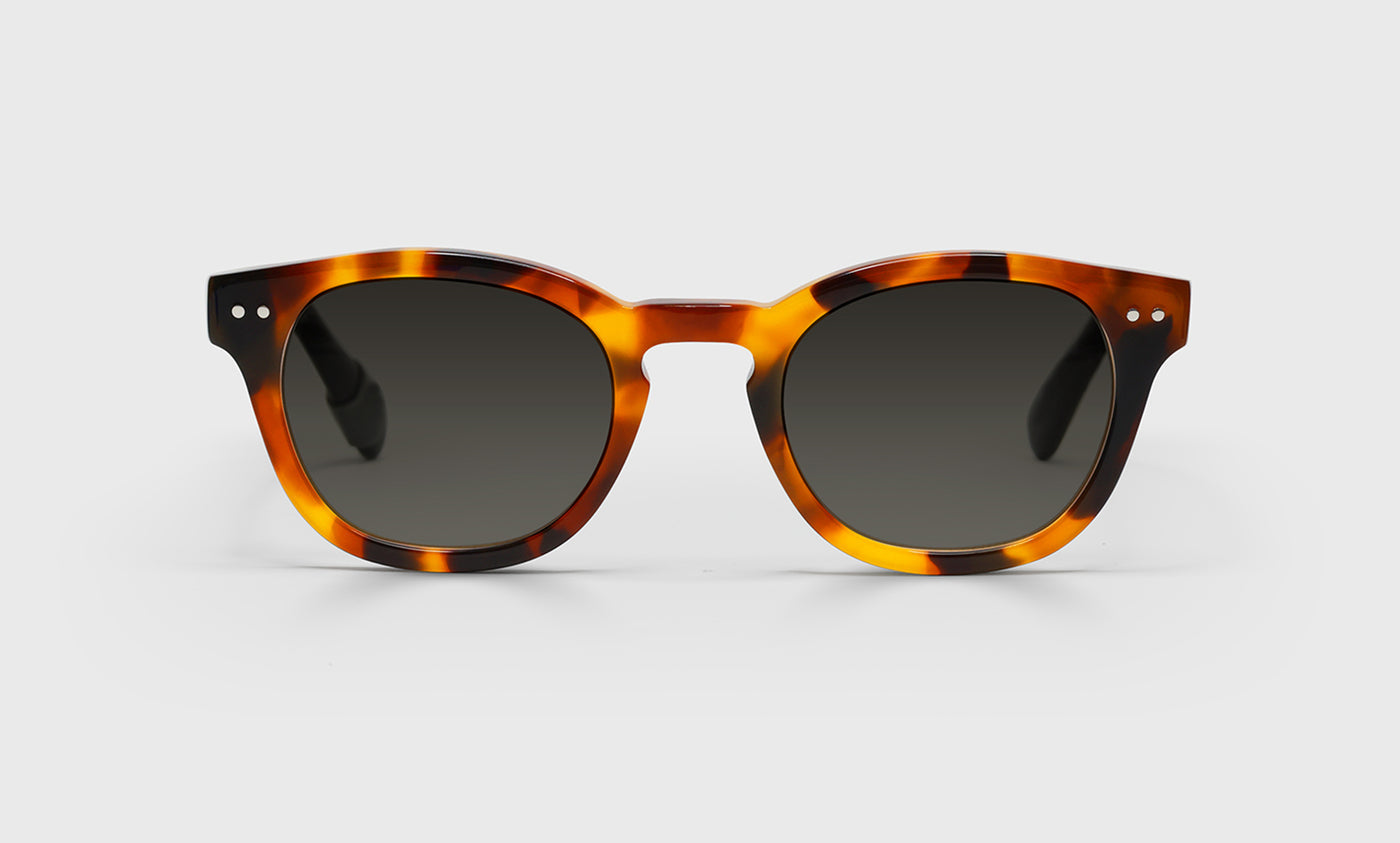Waylaid Average Color 21 Orange Tortoise Front with Black Temples - Stylish Unisex Eyeglasses for Reading & Fashion