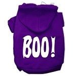 Boo Screen Print Hoodie - Soft & Comfortable Pullover Sweatshirt for Men & Women - Available in Multiple Colors - Perfect for Halloween, Casual Wear & Gifts
