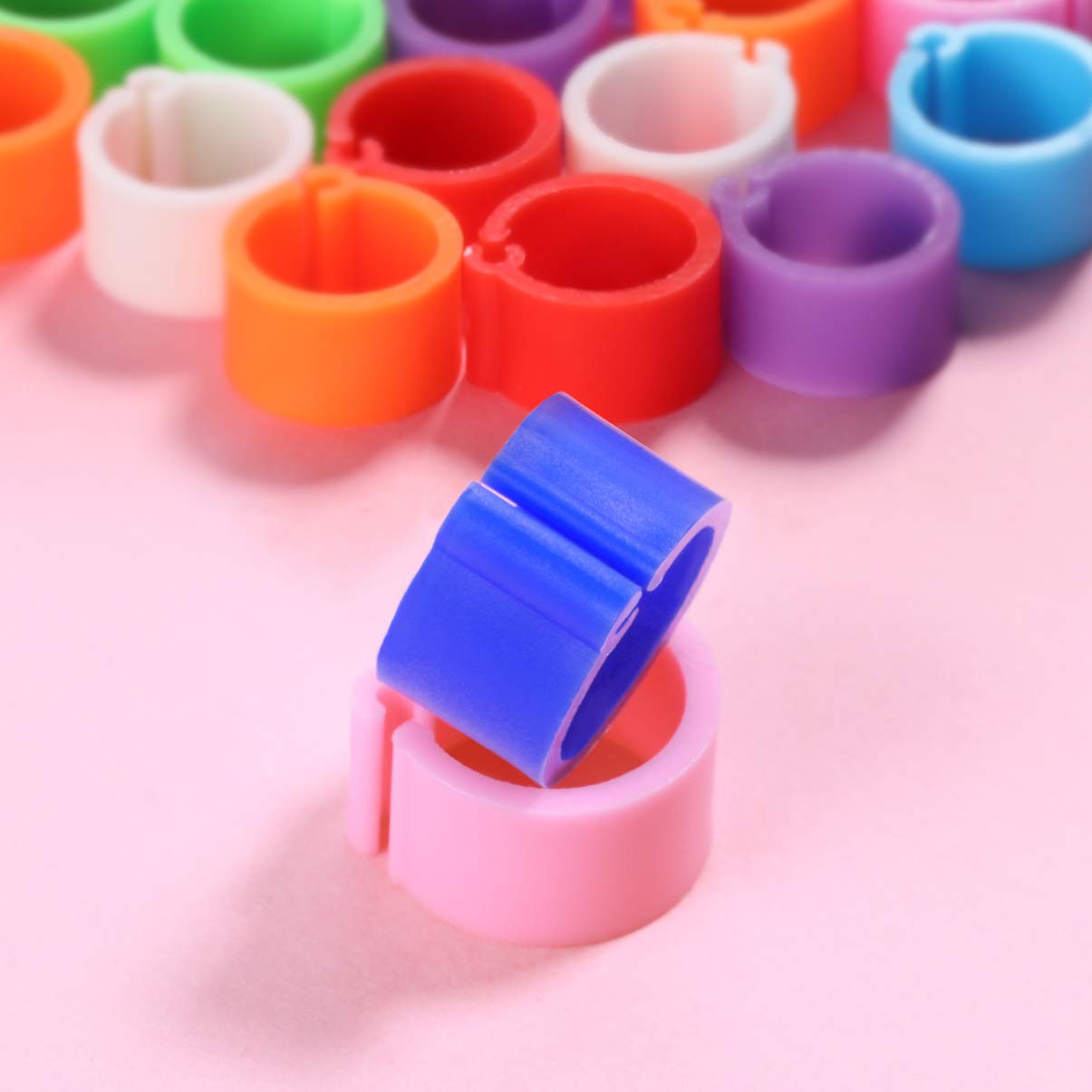 Colorful Plastic Bird Leg Bands - 8mm Pigeon Foot Rings for Identification (100pcs) | Durable Chicken Leg Bands for Poultry, Parrots & Pet Birds | Perfect for Breeding, Racing & Bird Shows