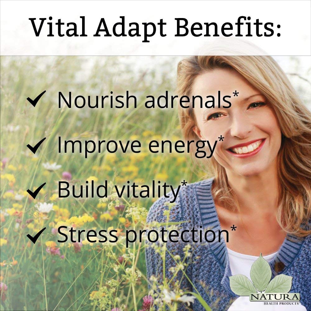 Natura Health Vital Adapt Supplement - Daily Adaptogenic Tonic with Rhodiola, Ashwagandha, Cordyceps & Reishi for Endocrine Support & Stress Relief (16oz) - Perfect for Busy Professionals & Students Seeking Natural Energy Boost