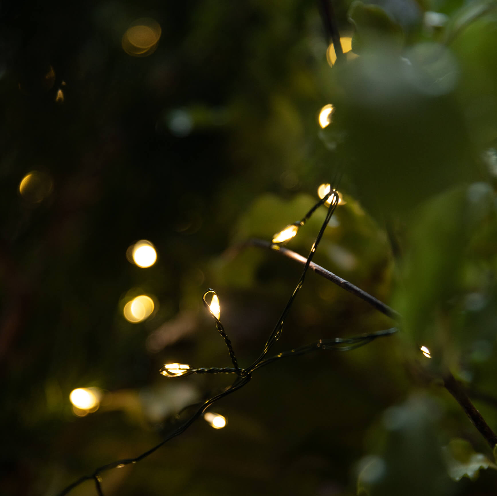 Solar Powered LED String Lights - 50ft Green Outdoor Fairy Lights for Garden, Patio, Wedding & Party Decor - Weatherproof & Energy Efficient