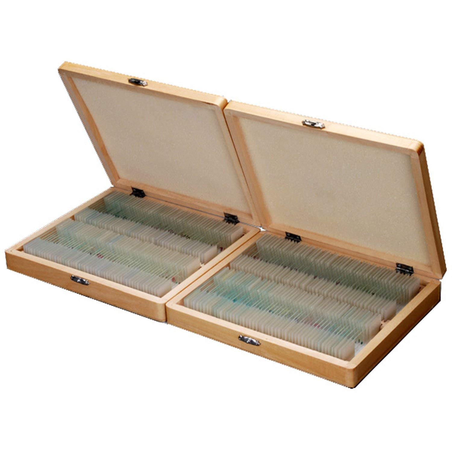 AmScope PS200 200-Piece Basic Biology Prepared Microscope Slide Set for Students & Homeschooling - Includes Fitted Wooden Storage Box - Perfect for Science Class, Home Lab & STEM Education
