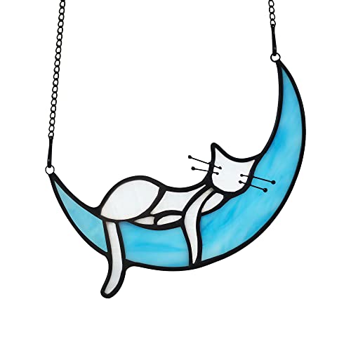 Sleeping White Cat