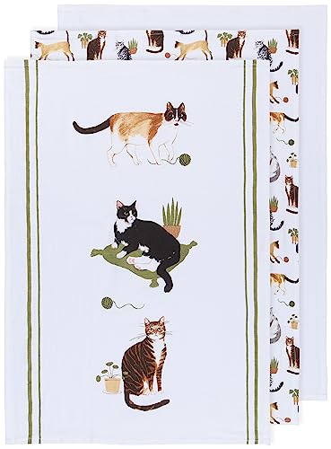 Cat Collective