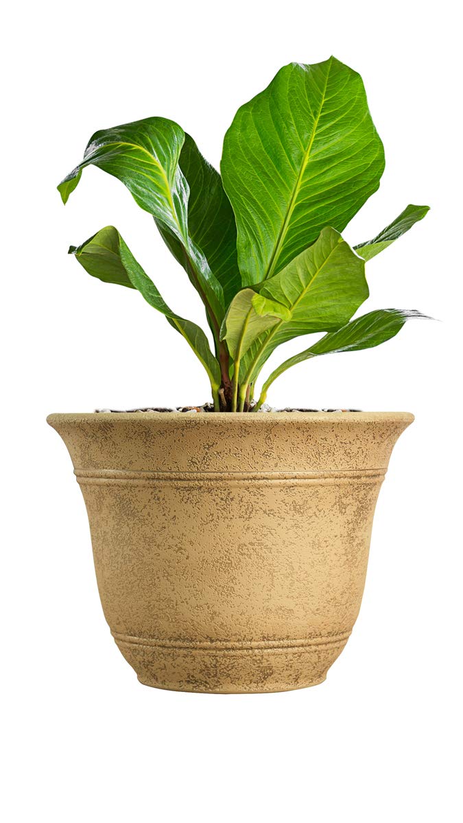 The HC Companies Sierra Round Self-Watering Planter - 16