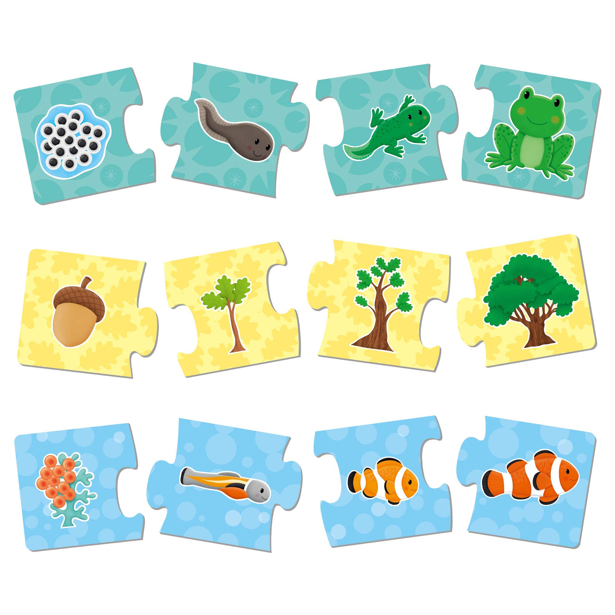 Galt Toys How Things Grow Puzzle - Educational Jigsaw Puzzle for Kids Ages 3+ | Fun Learning Activity for Preschoolers & Toddlers