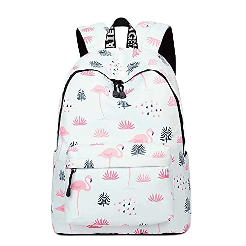 Flamants Roses