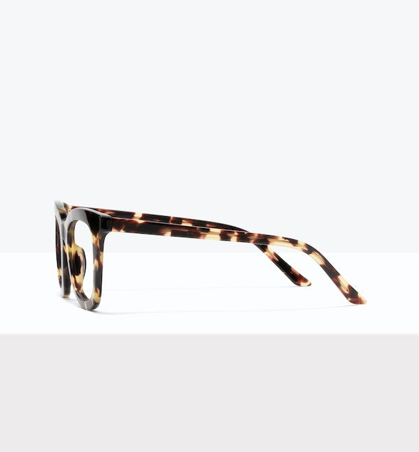 Paxton Eyeglasses - Stylish & Lightweight Glasses for Men & Women | Perfect for Reading, Driving & Daily Wear