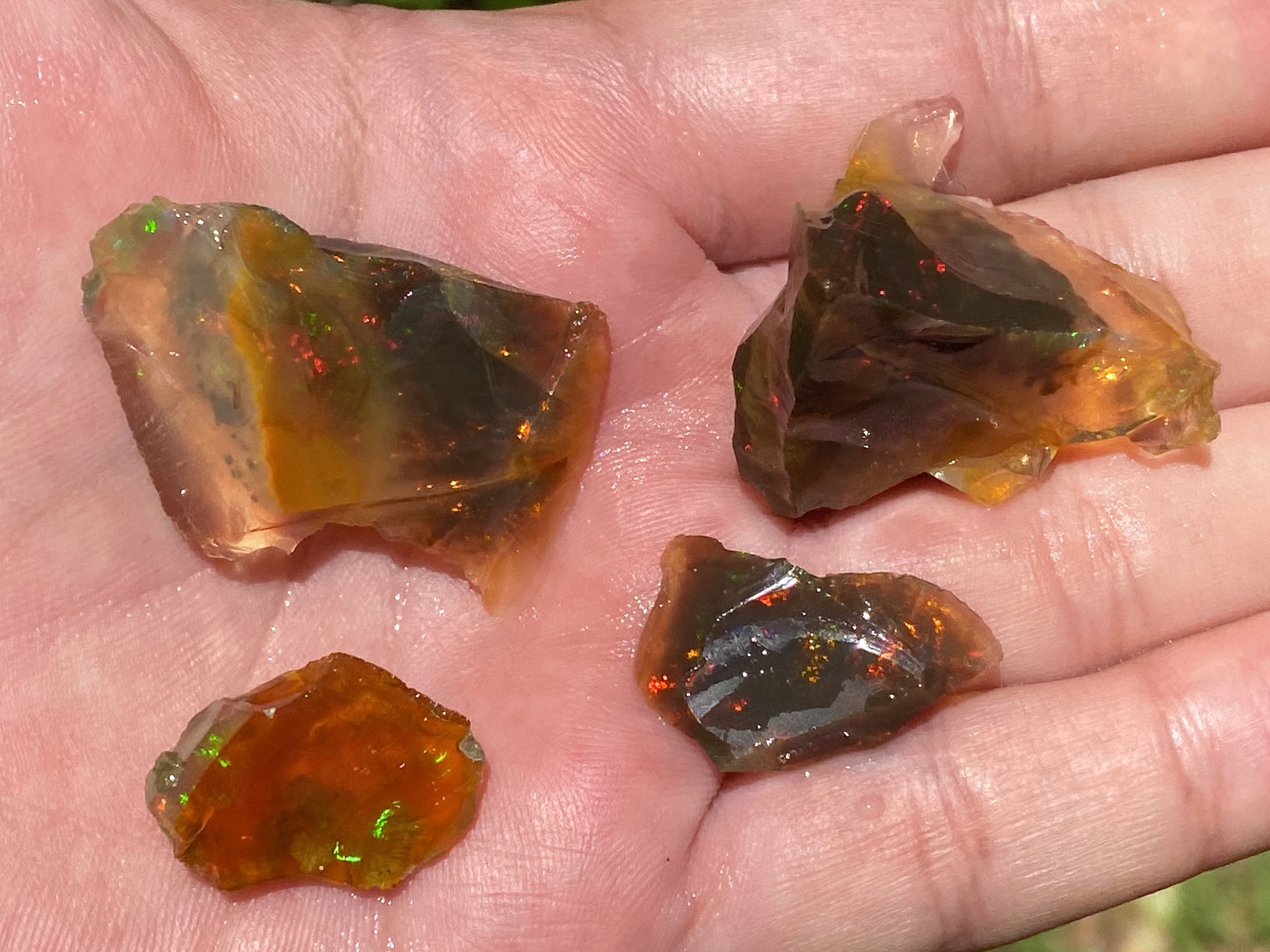 OPAL Raw Crystals - Floating Opals, B Grade Lot - Ethiopian Opal Vial, Water Opal, Welo Opal (47183) | Natural Gemstones for Jewelry Making, Healing Crystals & Mineral Collection