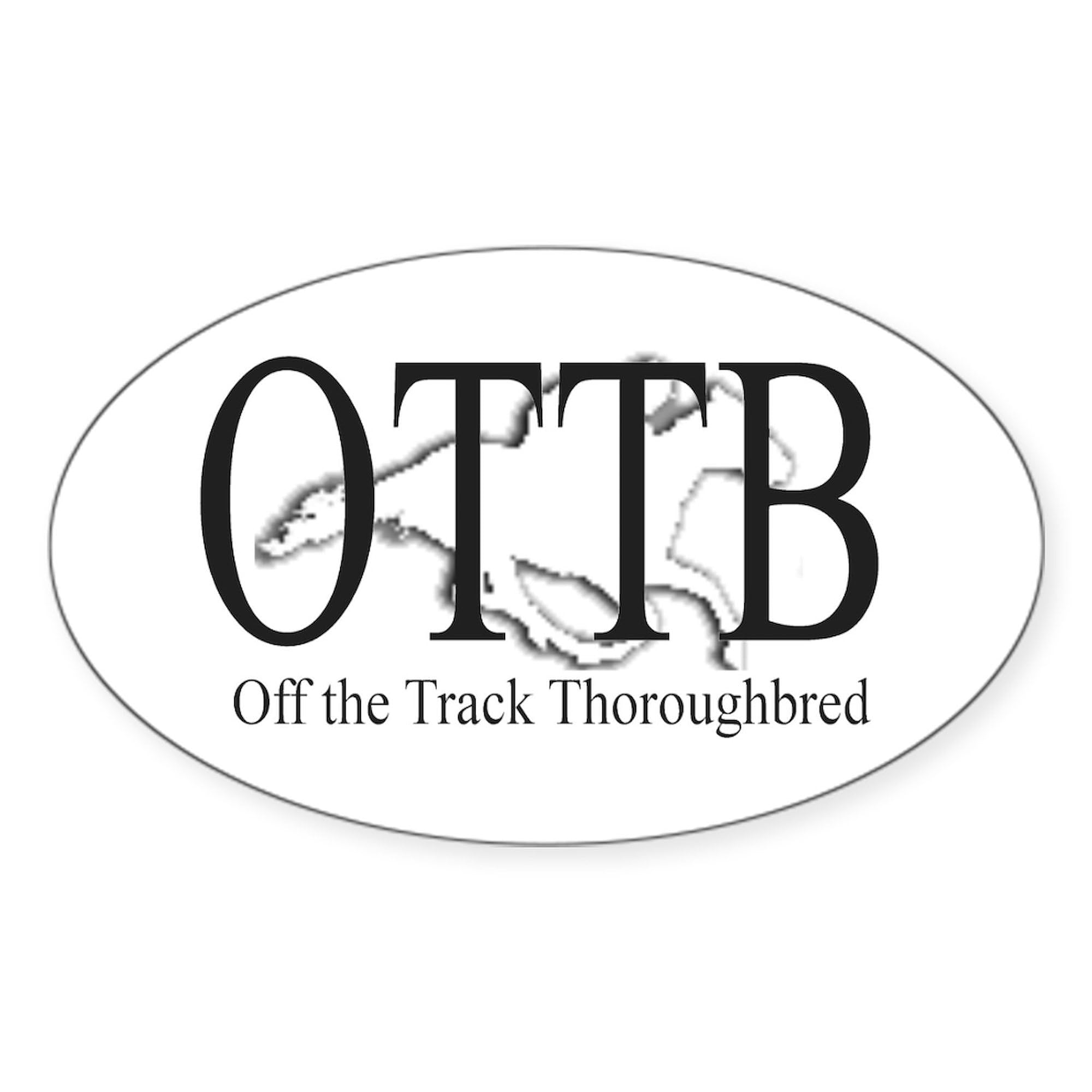 OTT Oval Car Bumper Sticker - Waterproof Decal for Cars, Laptops