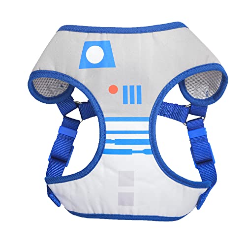 R2D2