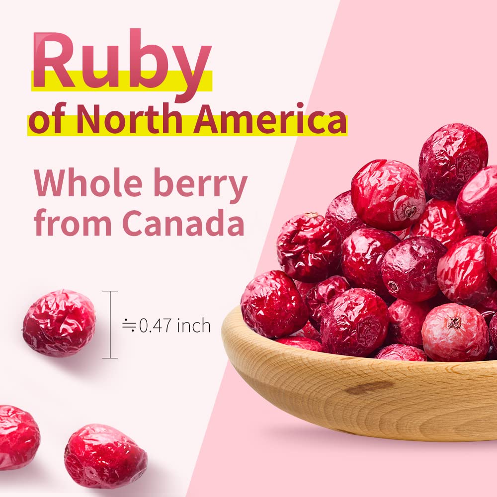 Freeze Dried Cranberries - Natural, Gluten Free & Vegan Snacks | Canada Whole Dried Fruits | 1.27oz (Pack of 4) | Perfect for Camping, Hiking & Healthy On-the-Go Snacking