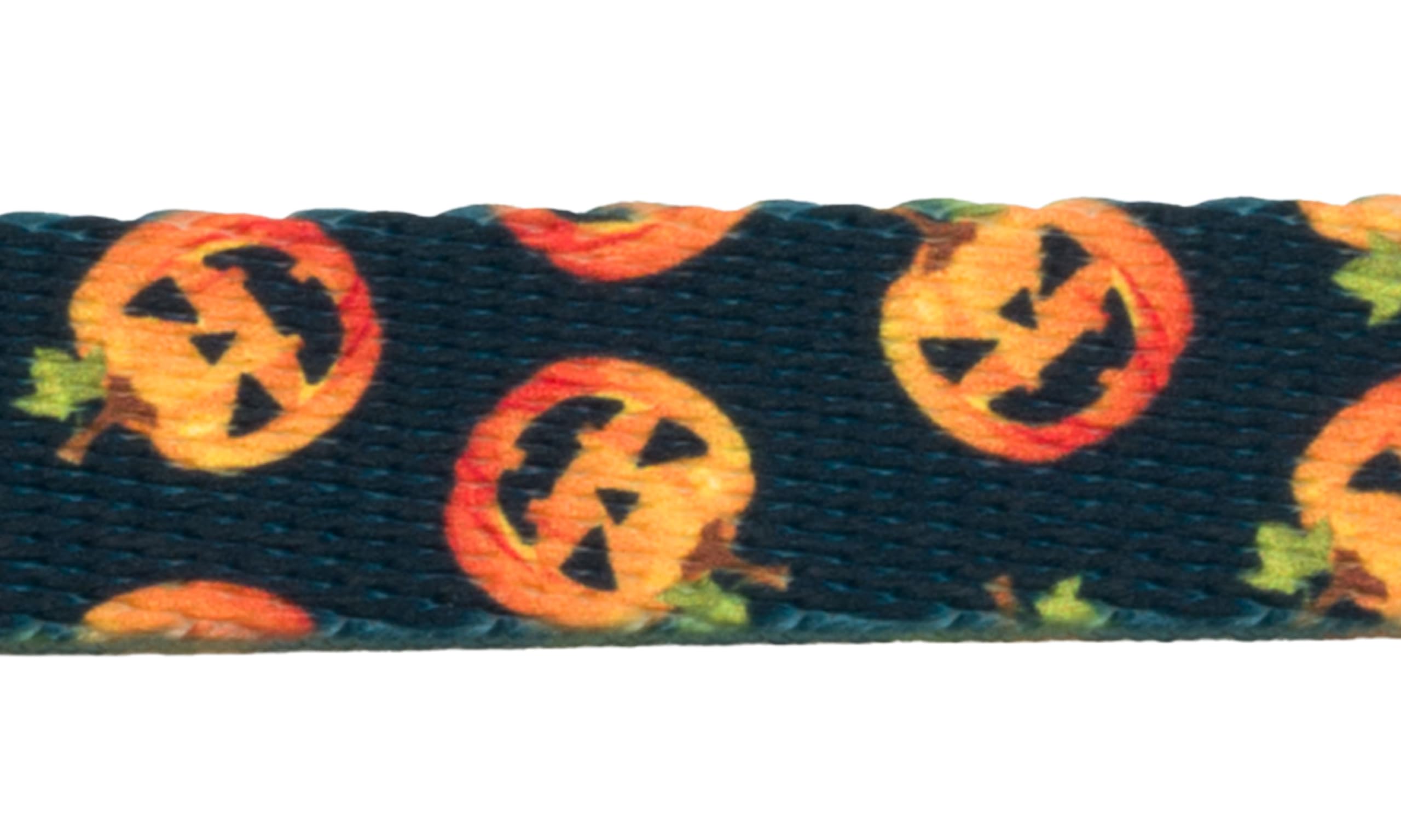Country Brook Design - Happy Jack Polyester Webbing Dog Collar & Leash Set - Durable Nylon Pet Accessories for Small Medium Large Dogs - Perfect for Walking, Training & Outdoor Adventures
