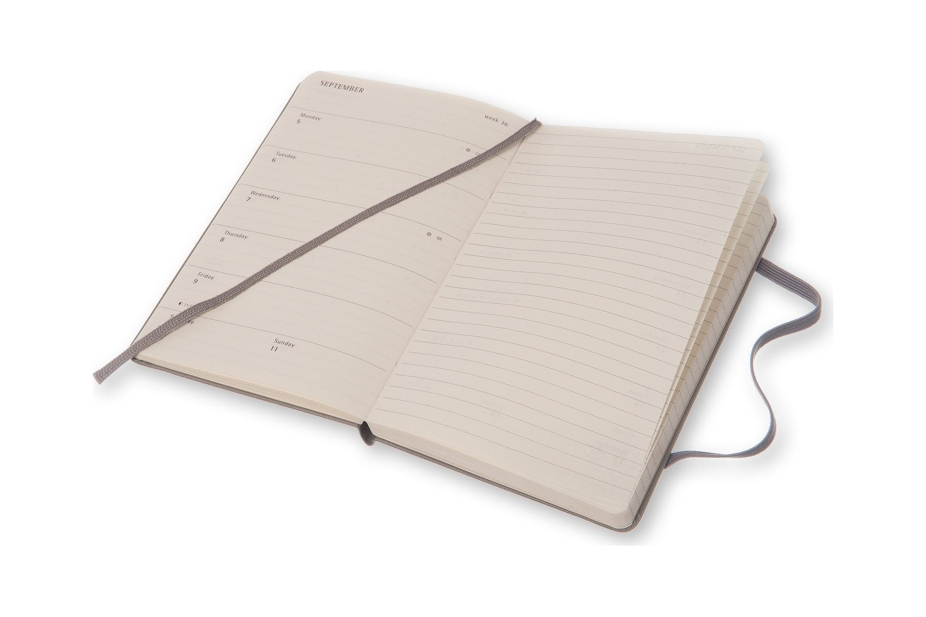 Moleskine Peanuts 18-Month Weekly Planner Pocket - Large Size | Perfect for School, Work & Travel Organization