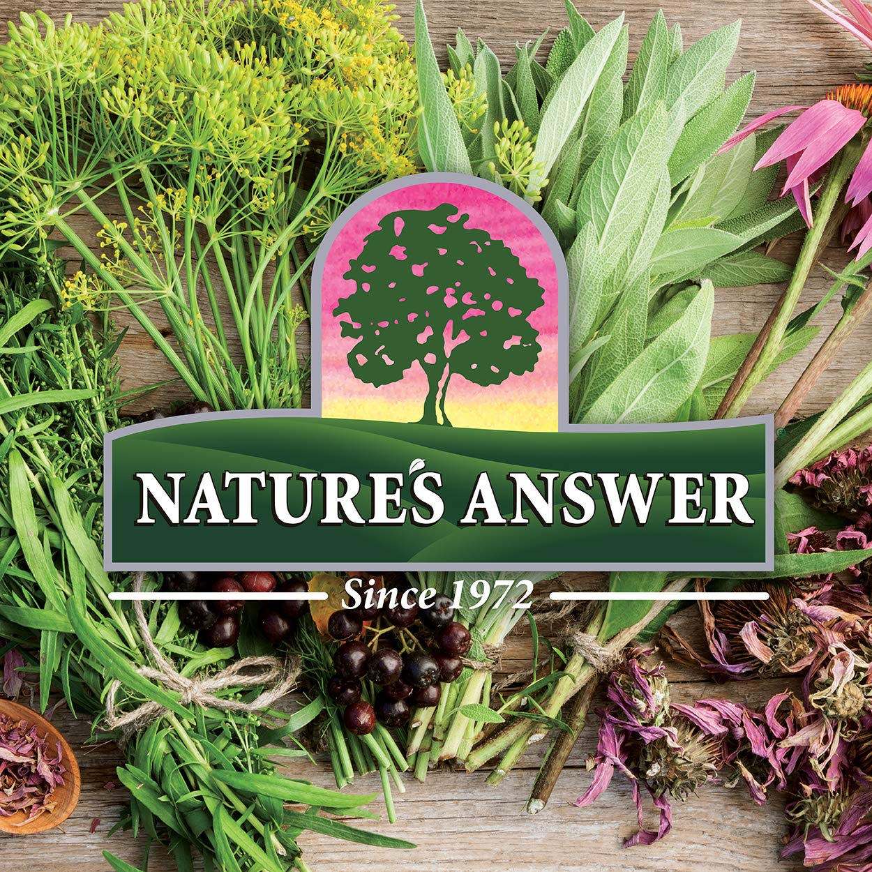 Nature's Answer Schisandra Berry Extract with Organic Alcohol, 1-Fluid Ounce | Supports Digestive Health & Cognitive Function | Natural Stress Relief Supplement | Great for Daily Wellness & Mental Clarity