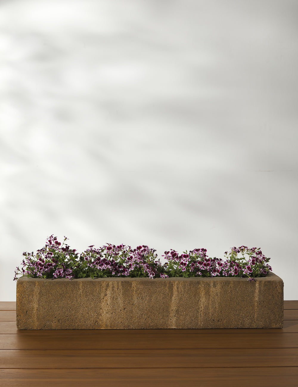 Campania International Basic Element Long Planter - Modern Rectangular Garden Planter Box for Indoor Plants, Outdoor Patio Decor, and Balcony Gardening