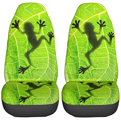 Frog Shadow Leaf